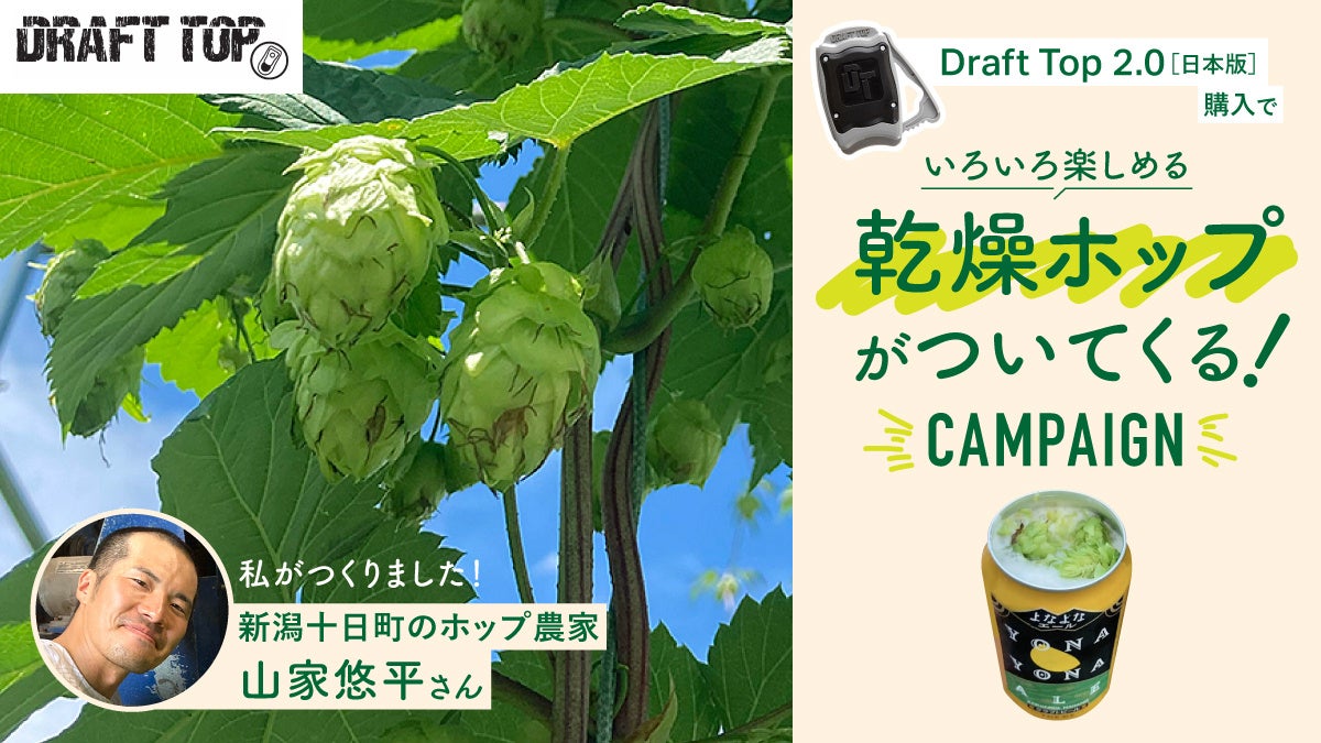 ビール缶オープナー「Draft Top 2.0」を購入された方に採れたて乾燥ホップをプレゼント【数量限定】のサブ画像1