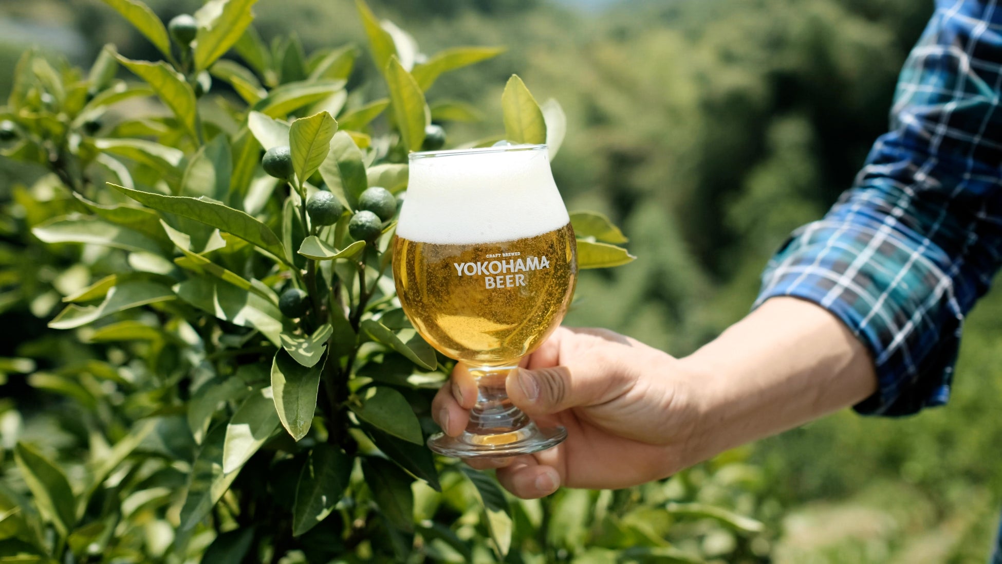 「横浜ビール」より、缶ビール第4弾『グリーンシトラスピルスナー』2023年8月1日(火)新発売。初回20,000缶出荷！のサブ画像3