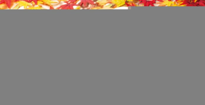 琥珀ヱビスとたのしむ『秋の収穫祭』フェア実施首都圏の銀座ライオン・YEBISU BAR・銀座ライオンLEOにてのメイン画像