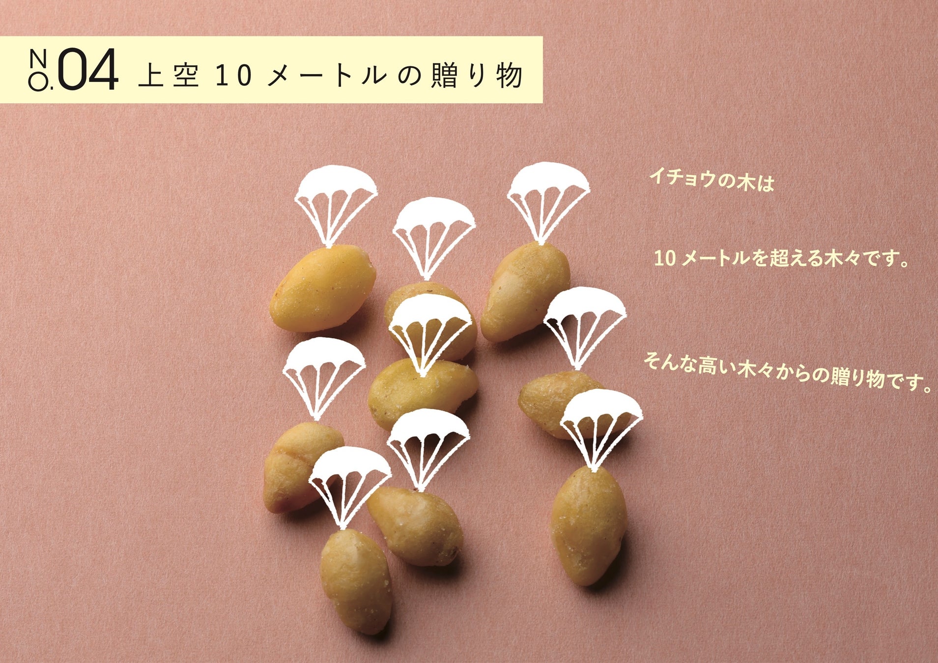 おつまみ屋！８周年/記念祭を開催します。『Hotaru no Hikari - ホタルノヒカリ 』珍味・おつまみGIFT専門店。のサブ画像8