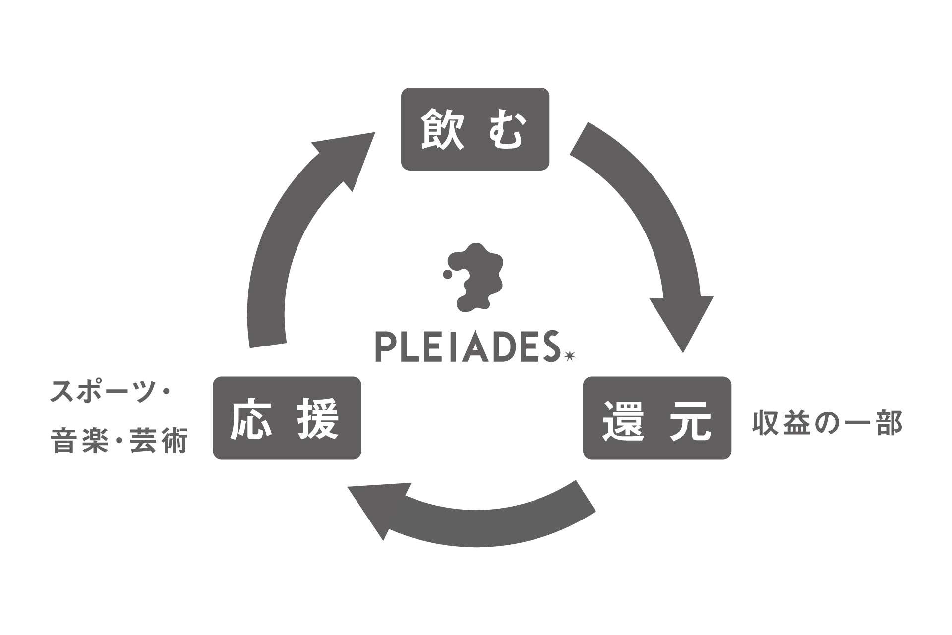 ⽣誕１周年を記念し「PLEIADES BEER（プレアデスビール）」にNEWフレーバー登場！のサブ画像13