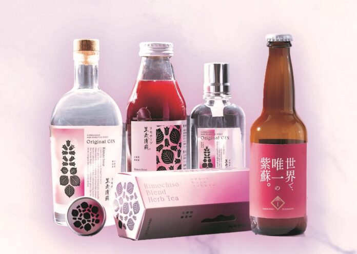 世界で蘭越だけの赤紫蘇「リモチーソ」、大阪・関西万博に登場のメイン画像