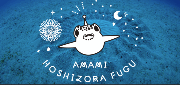 【季節限定クラフトビール：第二段】梅雨シーズンにしか飲めない奄美の青いクラフトビール『AMAMI BLUE season Ⅱ』を奄美ブリュワリーが2025年4月19日販売開始のメイン画像