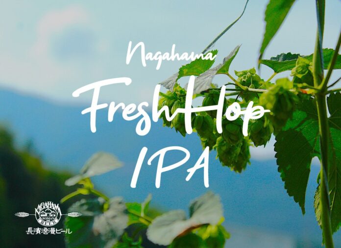Nagahama Fresh Hop IPA(ナガハマフレッシュホップ IPA) 販売のお知らせのメイン画像