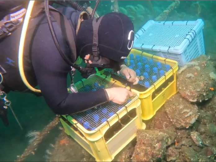 東駿河湾の豊かな自然で熟成されたクラフトビールを楽しもう！静岡のクラフトビールを様々なスタイルで楽しむビアイベントを開催します！のメイン画像