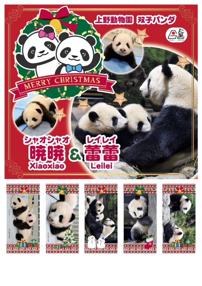 上野公園不忍池で「上野シタマチ CHRISTMAS」　　　　　　　12/25まで開催中！のメイン画像