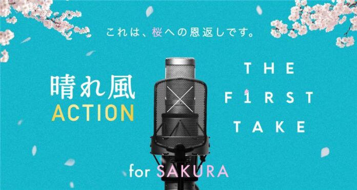 全国の桜が消失の危機に　アーティストや企業の思いで保全活動の輪が拡大「THE FIRST TAKE」が「晴れ風ACTION」に賛同再生回数に応じた金額を桜の保全活動に寄付のメイン画像